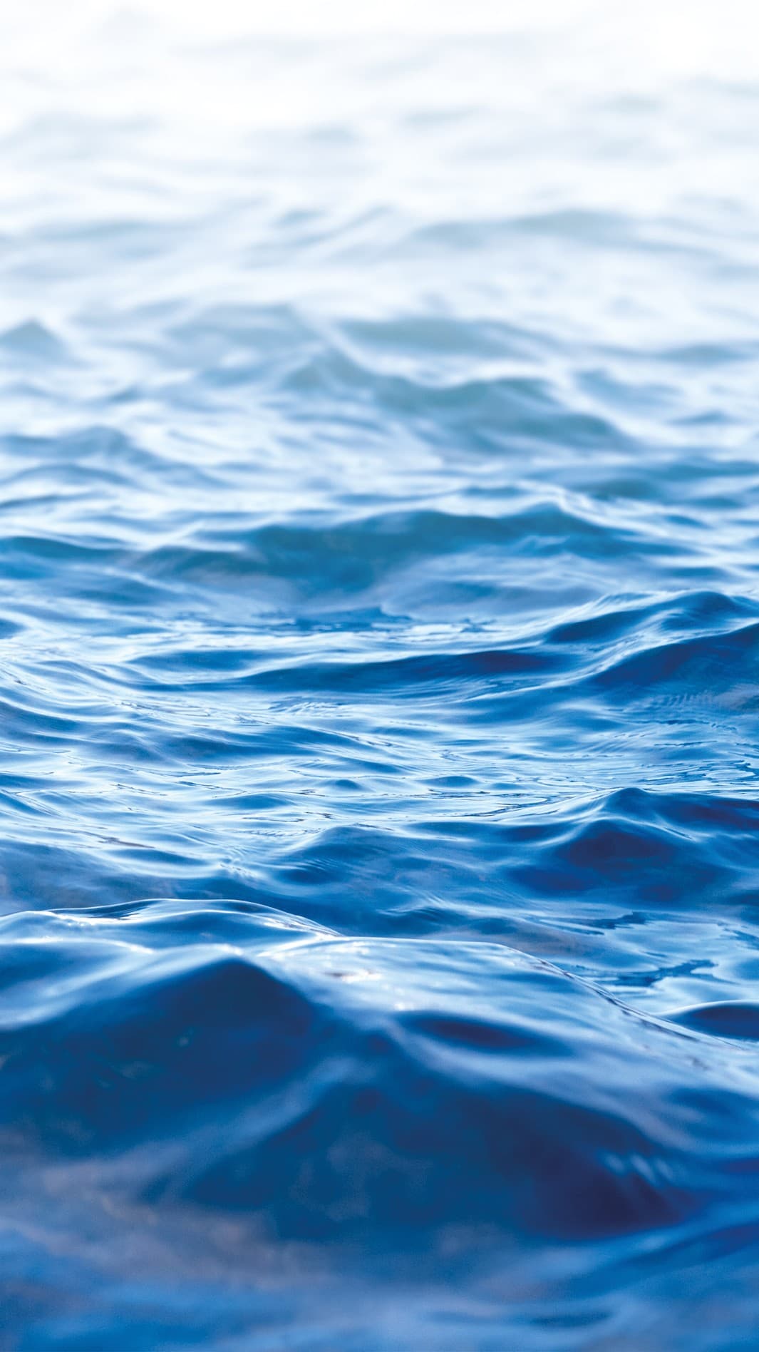 Wasser